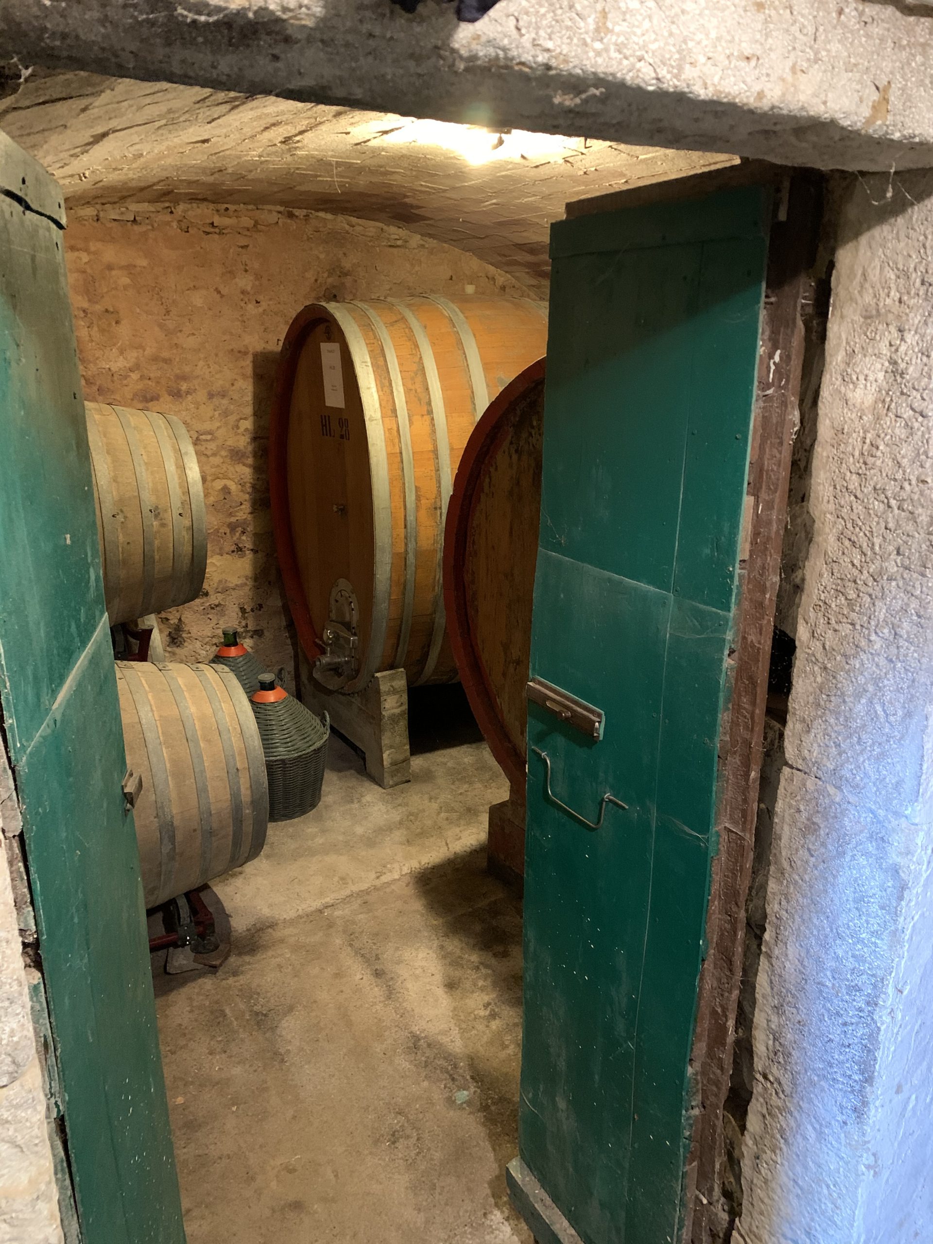 cantina ripoli vinery